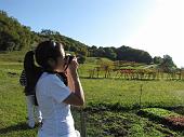 2^ escursione-lezione pratica di fotografia in montagna a Monte Isola sul Lago d'Iseo il 25 ottobre 2009 - FOTOGALLERY